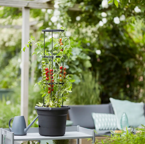 Green Basics Pot à Tomate 33 cm - Elho-3