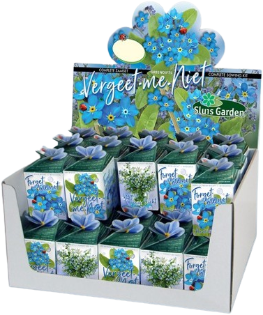Greengift Ne-m'oubliez-pas 40 pcs en showbox