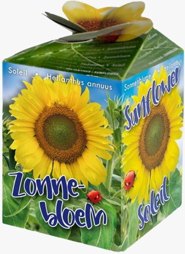 Tournesol Greengift