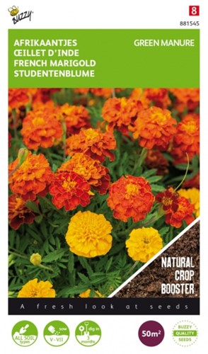 Fumage ou d'éngrais vert Tagetes / 50 gr - 50 m2