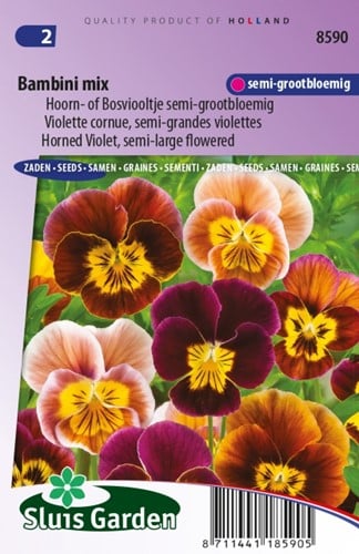 Pensée à Corne Bambini Mix Viola Cornuta