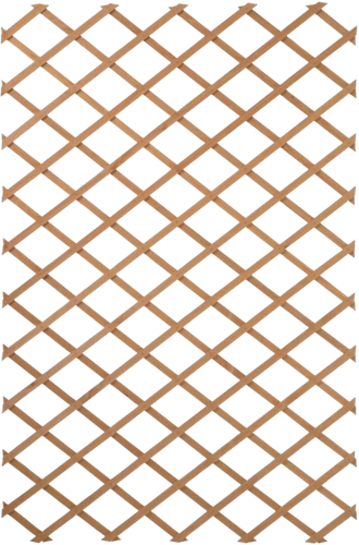 Support de Plantes Grimpantes 50x150cm FSC Bois - Nature-2