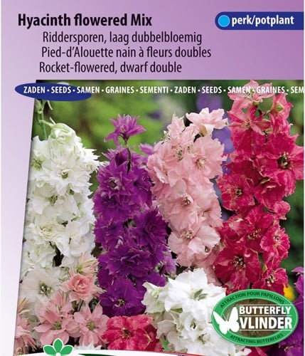 Pied d'Alouette nain à fleurs doubles Hyacinth Flowered Mix - Delphinium
