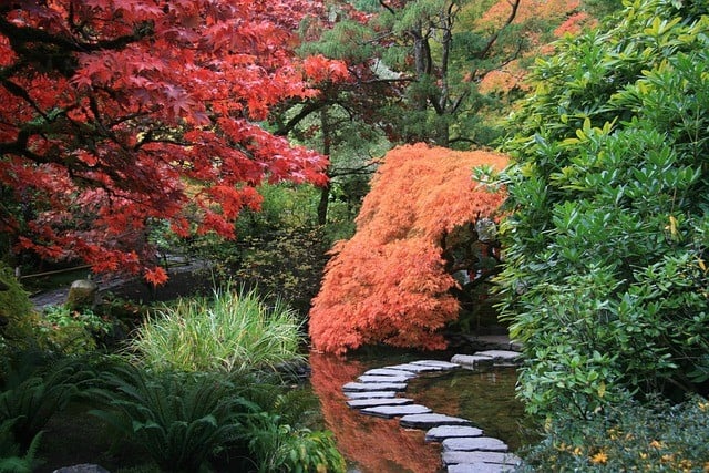 Jardins japonais