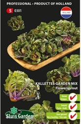 Kalettes garden mix, Flowersprout