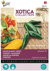 Piment Jalapeño M - Xotica Collection