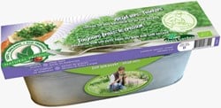 Kit Cresson Cresso Graines Biologiques