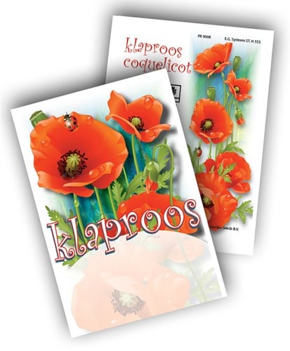 Coquelicots, Pavot