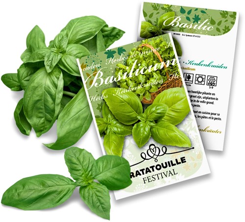 Herbes de Basilic Paquets personnalisés - 500 pièces