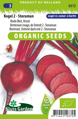 Betterave rouge Kogel 2 Storuman EKO