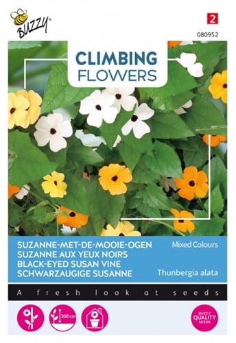 Suzanne aux yeux noirs Variée - Climbing Flowers