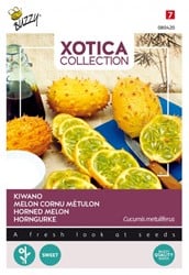 Melon cornu / Métulon - Xotica Collection