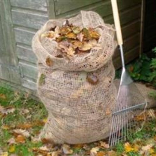 Sachets de Compostage de Feuilles