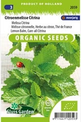 Mélisse citronnelle, Herbe au citron, Thé de France EKO