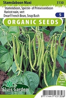Haricot Nain Maxi EKO - Phaseolus Vulgaris
