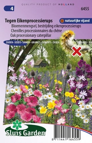 Chenilles processionnaires du chêne Mix