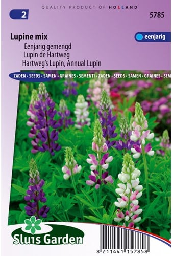 Lupin de Hartweg annuelle en mélange - Lupinus