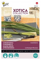 Citroengras Oostindische - Xotica Collection