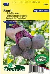 Betterave rouge (potagère) Manzu F1 - Beta vulgaris