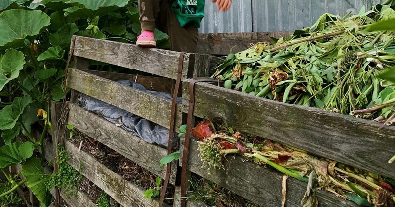 Travaux de jardinage en février avec Modeste Herwig – tailler en douceur et préparer le printemps