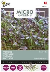 Moutarde Red Frills - Buzzy Microgreens
