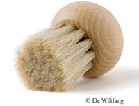 Champignon borsteltje-2