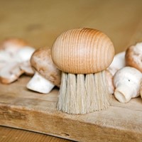 Champignon borsteltje