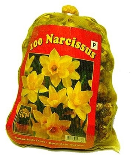 Narcisses Fantaisie en Mélange XL-Emballage - Narcissus