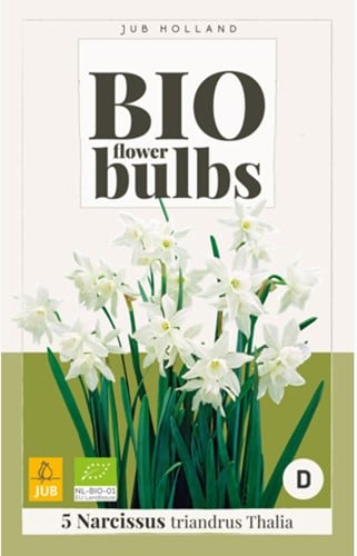 Narcissus Thalia – Narcisses BIO