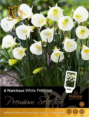 Narcisse White Petticoat - Narcissus