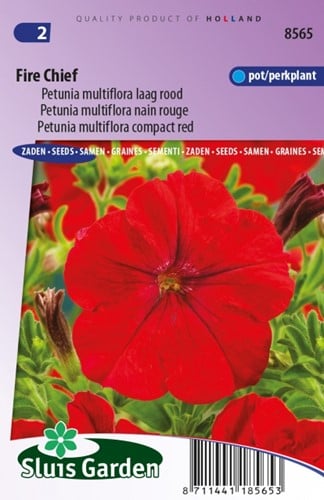 Petunia Multiflora Fire Chief Rouge
