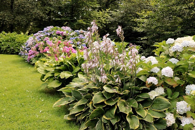 Créer un jardin à faible entretien