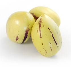 Pepino, Poire-melon – Solanumn muricatum