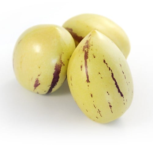 Pepino, Poire-melon – Solanumn muricatum