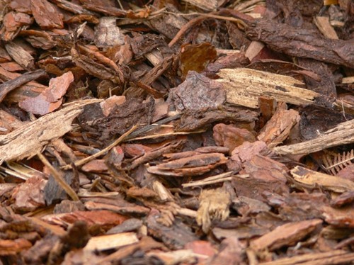 Écorce de pin 2.730 lt