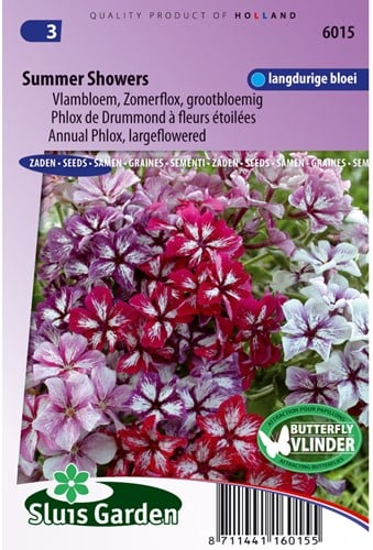 Phlox de Drummond à fleurs étoilées Summer Showers