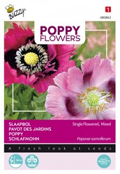 poppies of the world coquelicot pavot