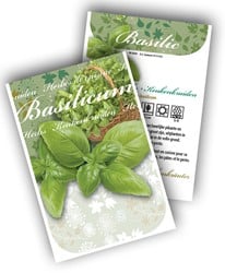 Basilic