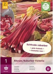 Rhubarbe Victoria