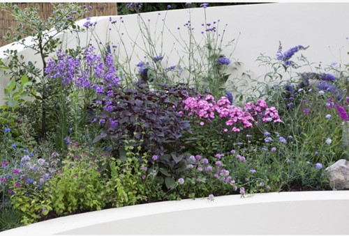 Plate-bande de jardin Papillons et Abeilles Modeste Herwig