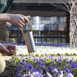 Plantoir de Bulbes en Acier Inoxydable RHS - Burgon & Ball