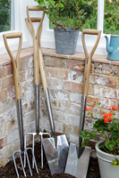 Broque en Acier Inoxydable RHS - Burgon et Ball-2