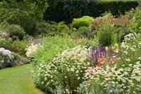 Romantische Witte border (met blauw / rode accenten)