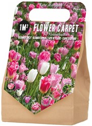 Bloembollenpakket 1 m² Fata Morgana – 50 bloembollen