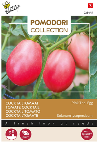 Tomate Cocktail - Uovo Roseo Pink Thai Egg - Pomodori Collection