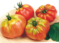 Tomate Géant Coeur De Boeuf - Pomodori Collection-3