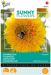 Tournesol nain Sungold, double - Sunny Flowers