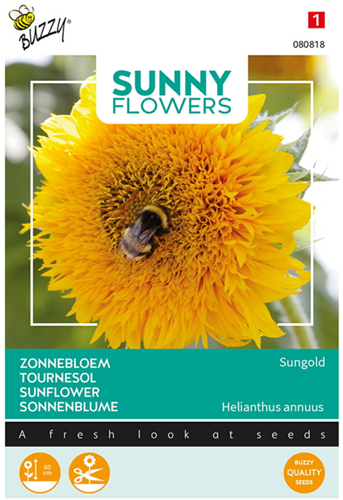 Tournesol nain Sungold, double - Sunny Flowers