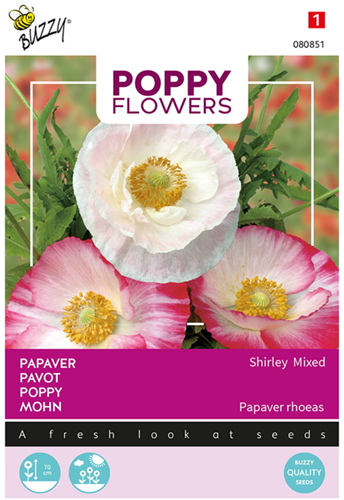 Pavot Shirley, varié - Poppy Flowers