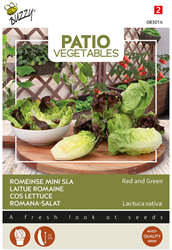 Laitue Romaine Red and Green - Buzzy Patio Vegetables